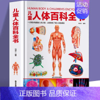 儿童人体百科全书 [正版]超大开本精装 儿童太空宇宙海洋交通工具自然地球大百科全书揭秘地理恐龙武器数学人体科普绘本故事