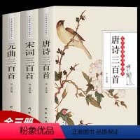 [正版]唐诗三百首+宋词三百首+元曲三百首 3本 无障碍阅读版中国古诗词书籍鉴赏词典辞典赏析古代古典诗词书籍 唐诗宋词