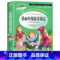 爱丽丝漫游奇境记 [正版]爱丽丝漫游奇境记书原著版六年级下册必读课外书老师小学生经典书目阅读书籍6下学期山东美术出版社爱