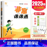 [正版]2025非常课课通语文九年级下册 人教版 江苏 初中同步初三学生重难点非常解读初中语文教辅辅导资料书 9年级下