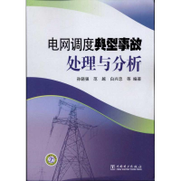 音像电网调度典型事故处理与分析孙骁强 范越 白兴忠 等 编著