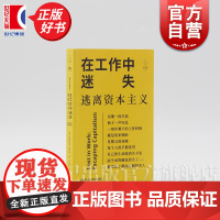 在工作中迷失:逃离资本主义 拜德雅 阿梅利亚霍尔根著上海文艺出版社职场励志图书找到工作与个人生活之间平衡点
