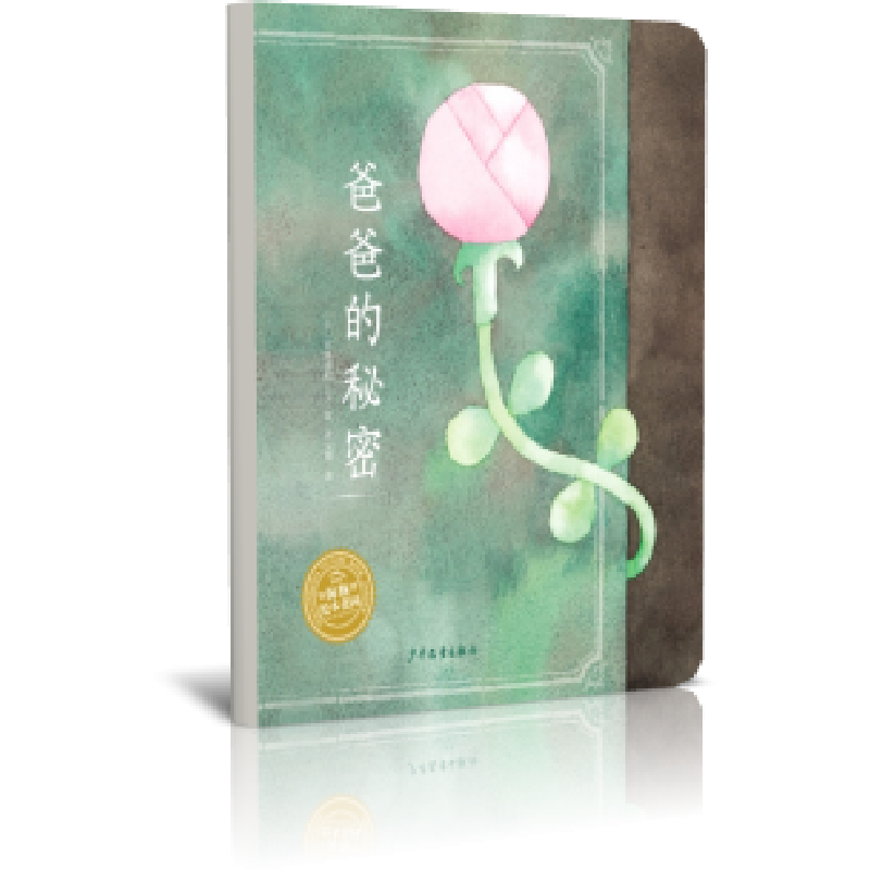 音像爸爸的秘密(精)/海豚绘本花园(日)宫崎博和