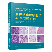 音像淋巴结病理学图谱:基于模式的诊断方法[美] Amy S. Duffield