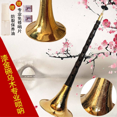 演奏精品乌木唢呐乐器大GA降BCDE小F调式齐全喇叭大中小号D调配红色彩漆雕花碗