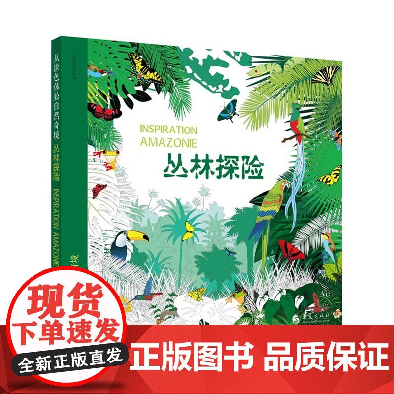 从涂色体验自然奇境:丛林探险
