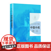 2022年中国中篇小说精选(2022中国年选系列)