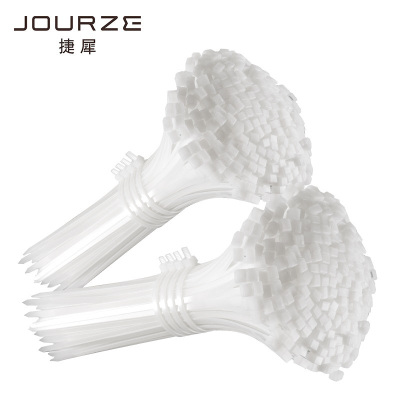 捷犀 尼龙扎带 4*300mm/250条/包