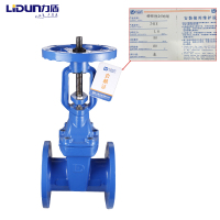 力盾 法兰明杆弹性座封闸阀 6541 DN250 台