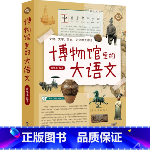 [正版]博物馆里的大语文 文物文字历史地理哲学艺术的综合读物 收藏鉴赏
