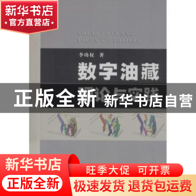正版 数字油藏理论与实践 李功权 地质大学 9787562533979 书籍
