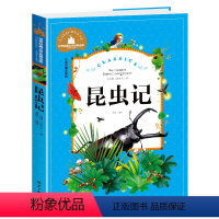昆虫记 [正版]兔子坡注音版三年级书籍一年级二年级阅读课外书必读经典书目小学生1-2-3年级带拼音书籍老师推 荐儿童文学