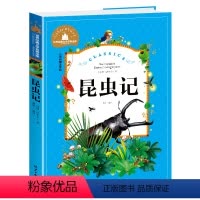 昆虫记 [正版]兔子坡注音版三年级书籍一年级二年级阅读课外书必读经典书目小学生1-2-3年级带拼音书籍老师推 荐儿童文学