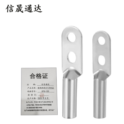 信晟通达 镀锡铜鼻子(双孔) DTS-120 个