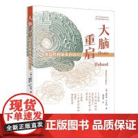 大脑重启难治性抑郁症的新疗法 迈克尔·E.亨利著 当代中国出版社 9787515415314心灵疗愈实体图书籍正版