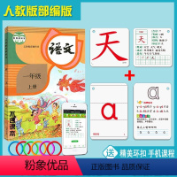 [正版]同步一年级上册识字生字认字写字拼音卡片全套幼儿宝宝识字小学语文生字卡片早教拼音拼读训练汉语幼小衔接练习发音