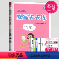 [正版]2023新版亮点给力默写天天练三年级上册语文三上人教版RJ江苏小学3年级上学期苏教小达人同步训练默写能手高手字