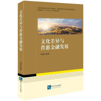 音像文化差异与普惠金融发展巩艳红 著