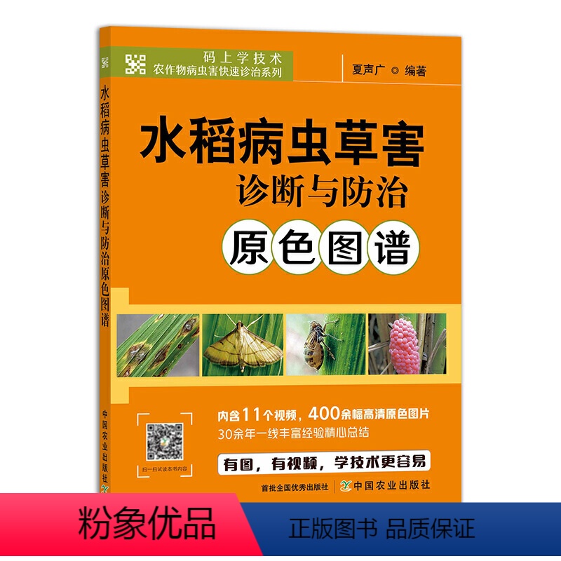 [正版]水稻病虫草害诊断与防治原色图谱 水稻栽培种植技术书籍水稻病虫害防控稻麦病虫草害飞防技术稻田农药科学使用技术指南