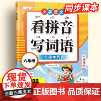 六年级下册语文看拼音写词语生字注音组词造句专项训练人教部编版教材小学课堂同步练习册句子强化练习默写纸拼读训练能手拼音识字