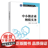 中小微企业纳税实务