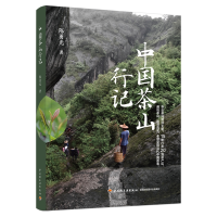 音像中国茶山行记勇