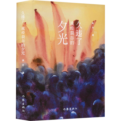 [M]久违了 流经裂谷的夕光 吴丹 著 -9787521219838