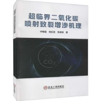 音像超临界二氧化碳喷致裂增渗机理宋维强,倪红坚,张俊明