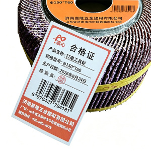 嘉伈 打磨工具轮 个