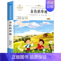金色的草地[苏联 米·普里什文 著] [正版]犟龟绘本米切尔恩德二年级下册课外书我的爸爸叫焦尼戴小桥和他的哥们儿失落的一