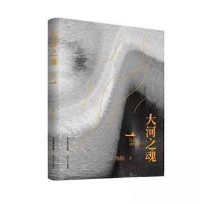 正版新书]大河之魂梅钰9787537867436