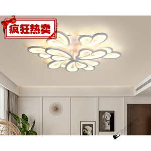 苏宁放心购 LED吸顶灯简约现代大气异形蝴蝶北欧客厅灯具套餐卧室家用温馨创意个性