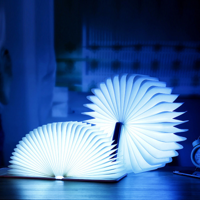 林檎生日女生送女友老婆闺蜜儿童小孩子实用创意礼品抖音同款折叠书本灯床头小夜灯送幼儿园小朋友初高中学生送女朋友老婆生日礼物