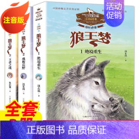 狼王梦全套3册[注音版] [正版]狼王梦沈石溪动物小说系列品藏书系后一头战象8-10-12-15周岁儿童文学三四五六年级