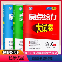 [正版]全套3本2024春新版亮点给力大试卷初中语文数学英语九年级下9年级下册江苏版苏教版单元冲刺测试卷同步专项训练各