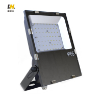 立华王 LH6500-B 100W IP65 AC220V 固定式LED灯具