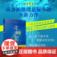谋杀夏天 赵小赵 著 小说