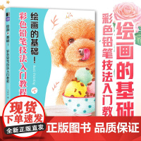 绘画的基础 彩色铅笔技法入门教程 彩铅基础教程彩色铅笔画入门初学者手绘临摹彩铅画临摹本植物动物花卉彩铅临摹画册