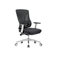 臻远 ZY-8960 办公椅人体工学椅转椅 定型棉白框 单位:把