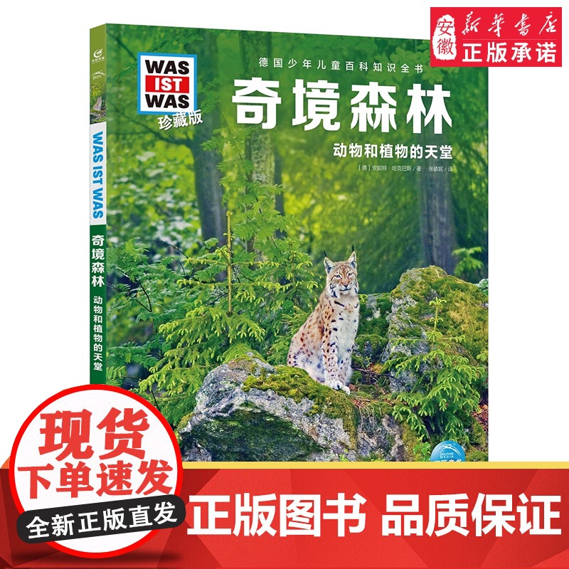 奇境森林 德国少年儿童百科知识全书什么是什么珍藏版 精装儿童科普百科全书自然科学历史7岁+中小学生儿童课外阅读书