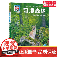 奇境森林 德国少年儿童百科知识全书什么是什么珍藏版 精装儿童科普百科全书自然科学历史7岁+中小学生儿童课外阅读书