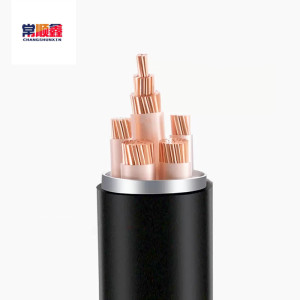 常顺鑫 低压铜芯电缆ZC-YJV22 0.6/1KV 5×50 米