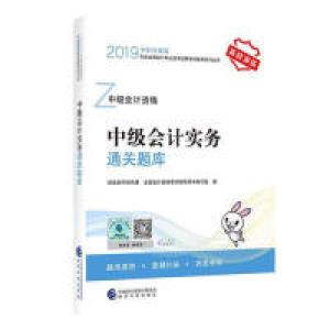 正版新书]中级会计职称教材配套辅导20192019年会计专业技术资格