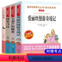 [正版]三年级课外书 全套4册爱丽丝漫游奇境记梦游仙境宝葫芦的秘密张天翼天方夜谭原版神笔马良小学生阅读书籍经典书目儿童