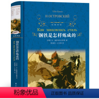 [正版]钢铁是怎样炼成的初中原著完整版 译林出版社原版 人教版八年级下册八下初中生课外阅读书籍小学生 语文必读世界十大