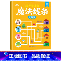 [单本]魔法线条-益智篇 [正版]魔法线条儿童专注力训练神器迷宫数字连线画本3-4-5-6岁宝宝思维训练游戏注意力益智书