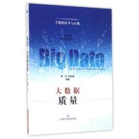 正版新书]大数据质量/大数据技术与应用蔡莉//朱扬勇|总主编:朱