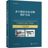 音像水下遗址出水文物保护方法(美)唐纳·汉密尔顿