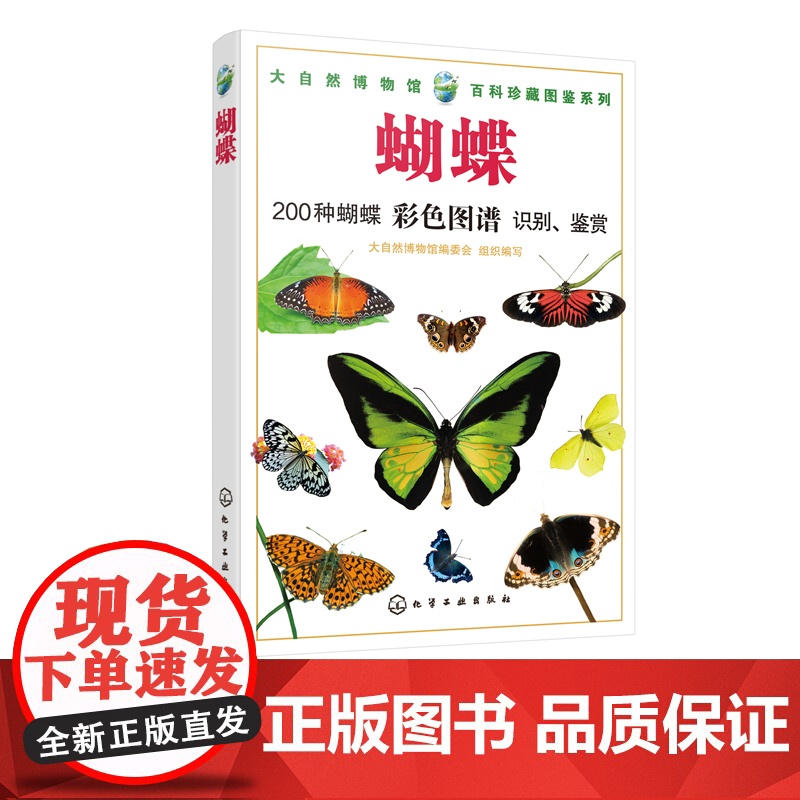 大自然博物馆 百科珍藏图鉴系列 蝴蝶 青少年中小学生动植物科普百科全书 生活环境习性繁殖特点知识大全 凤蝶袖蝶粉蝶 种类
