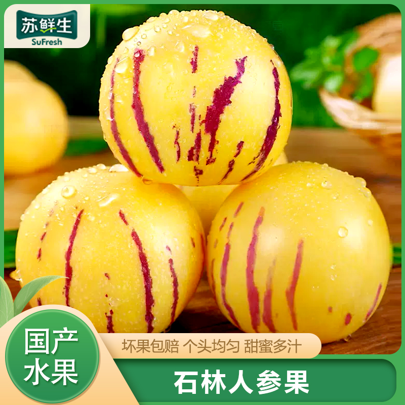 [苏鲜生]云南特产 石林人参果 精选 净重9斤 小果 单果25-50g 熟果 香甜可口 新鲜应季水果